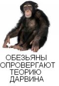 Обложка книги "Обезьяны опровергают теорию Дарвина"