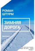 Обложка книги "Зимняя дорога"