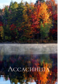 Обложка книги "Ассасинша"