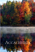 Обложка книги "Ассасинша"
