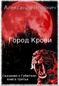 Обложка книги "Город Крови. Шаал-Рю"