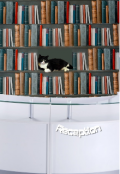 Обложка книги "Дневник кота Фили "
