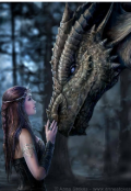 Обложка книги "Мой обречённый дракон. "