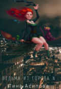 Обложка книги "Ведьма из города N"