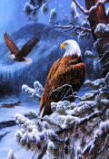 Обложка книги "Вольный Орел Кавказа "