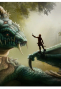 Обложка книги "Не время для драконов"