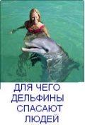Обложка книги "Для чего дельфины спасают людей"
