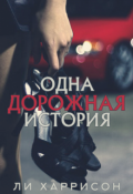 Обложка книги "Одна дорожная история"