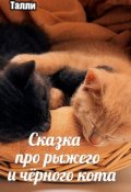 Обложка книги "Сказка про рыжего кота и чёрного кота"