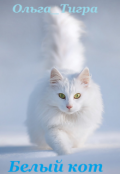 Обложка книги "Белый кот"