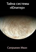 Обложка книги "Тайна системы "Юпитер""