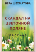 Обложка книги "Скандал на Цветочной поляне"