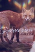 Обложка книги "Братья лисы"