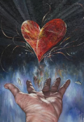 Обложка книги "Сердце"