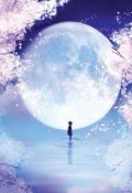 Обложка книги "Лунная ночь "