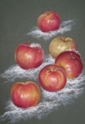 Обложка книги "Зимние яблоки"