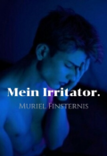 Обложка книги "Mein Irritator."