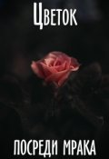 Обложка книги "Цветок посреди мрака"
