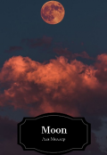 Обложка книги "Moon "