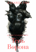 Обложка книги "Тень ворона"