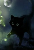 Обложка книги "Черный котенок"