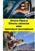 Обложка книги "Опель-экипаж или чумовые выходные"