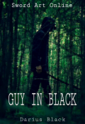 Обложка книги "Sword Art Online: Guy in Black"