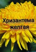 Обложка книги "Хризантема    Желтая"