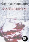 Обложка книги "Малефициум "