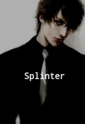 Обложка книги "Splinter "
