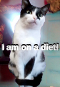 Обложка книги "У меня диета"