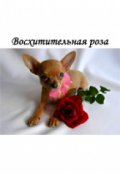 Обложка книги "Восхитительная роза"