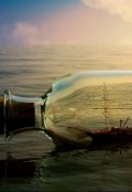 Обложка книги "Корабль в бутылке"