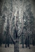 Обложка книги "Боровецкий лес"