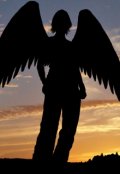 Обложка книги "Последний Ангел"