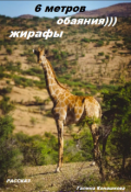 Обложка книги "Шесть метров обаяния. Жирафы"