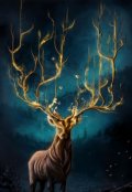 Обложка книги "Дух леса"