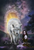 Обложка книги "Волк из Поднебесья"