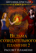Обложка книги "Ведьма созидательного пламени 2"
