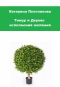 Обложка книги "Тимур и Дерево исполнения желания"