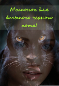 Обложка книги "Мышонок для большого черного кота"
