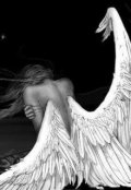 Обложка книги "Падший ангел"