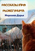 Обложка книги "Рассказы (про) рыжего кота"