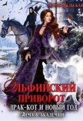 Обложка книги "Эльфийский приворот, драк-кот и Новый год. Зима в Академии"