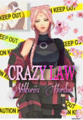 Обложка книги "Crazy law "