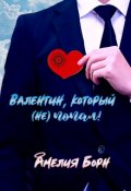 Обложка книги "Валентин, который (не) попал"