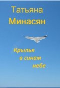 Обложка книги "Крылья в синем небе"