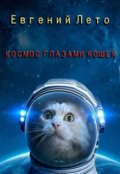 Обложка книги "Космос глазами кошки"