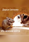 Обложка книги "Из жизни одного кота "