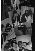 Обложка книги "brittle"